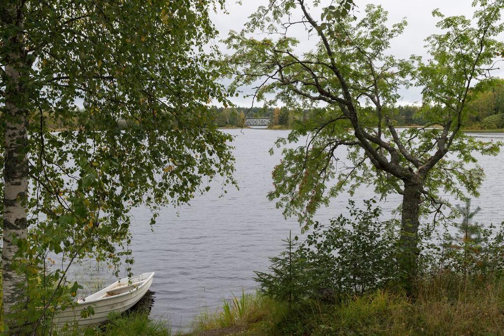 Lemettilae Countryside Accommodation Petäjävesi Exteriér fotografie